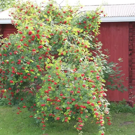 Tilava Huoneisto Puutarhanaekymaellae * Kankaanpää